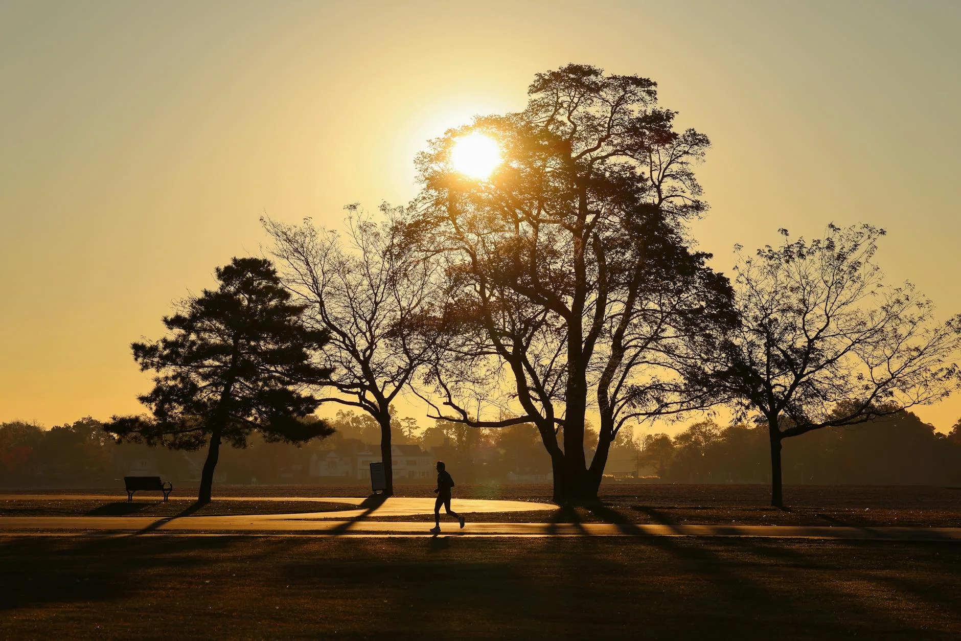 Runner on a trail path during a cool sunrise morning run